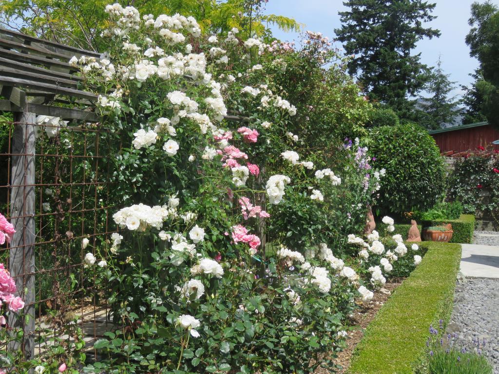 Marchmont Gardens Bed and Breakfast Hanmer Springs Exteriör bild