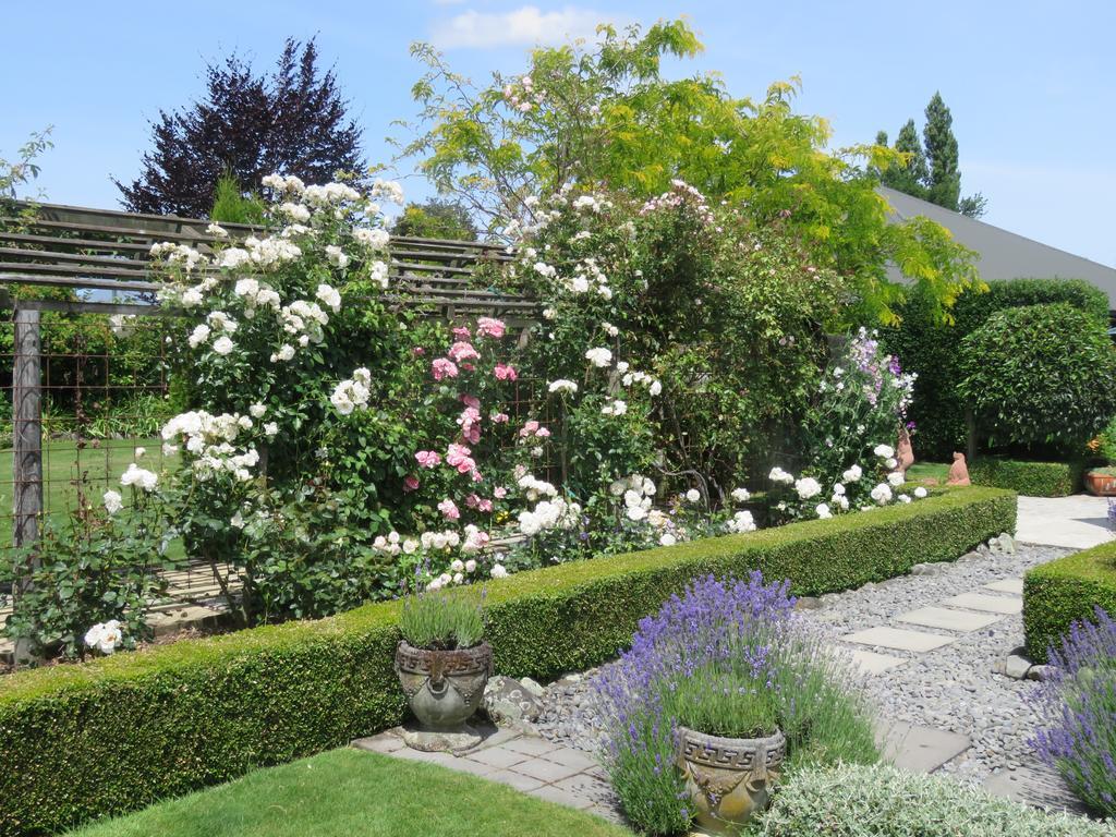 Marchmont Gardens Bed and Breakfast Hanmer Springs Exteriör bild