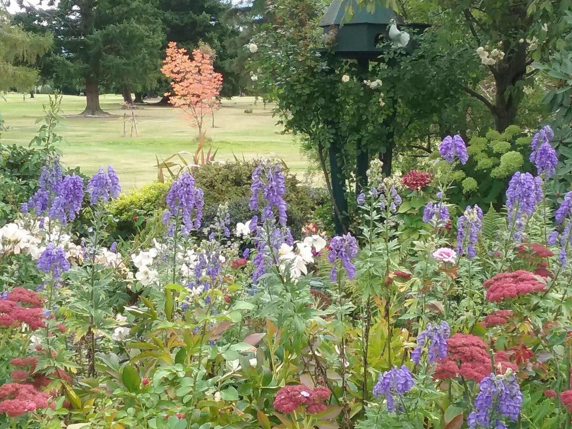 Marchmont Gardens Bed and Breakfast Hanmer Springs Exteriör bild