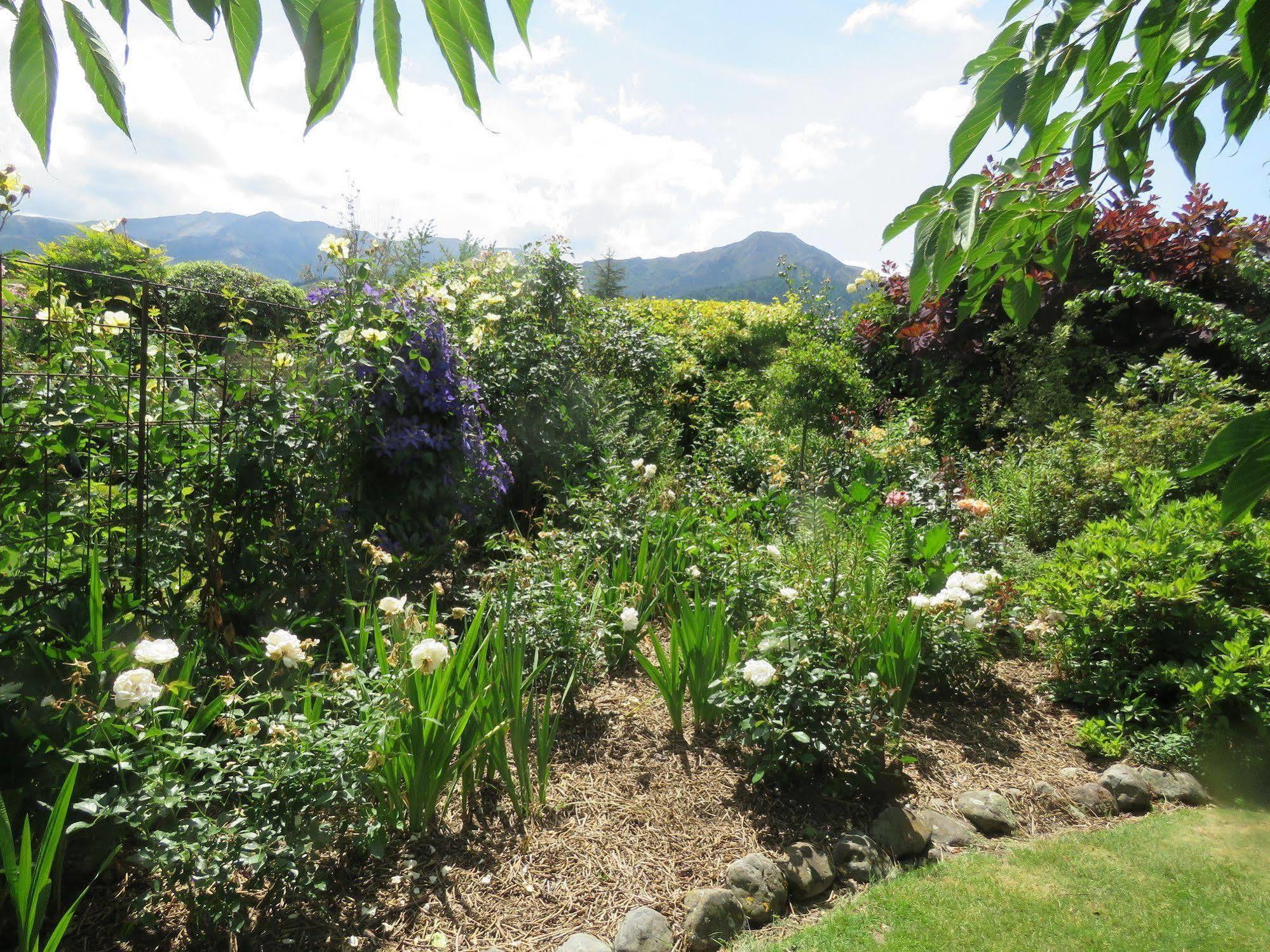 Marchmont Gardens Bed and Breakfast Hanmer Springs Exteriör bild