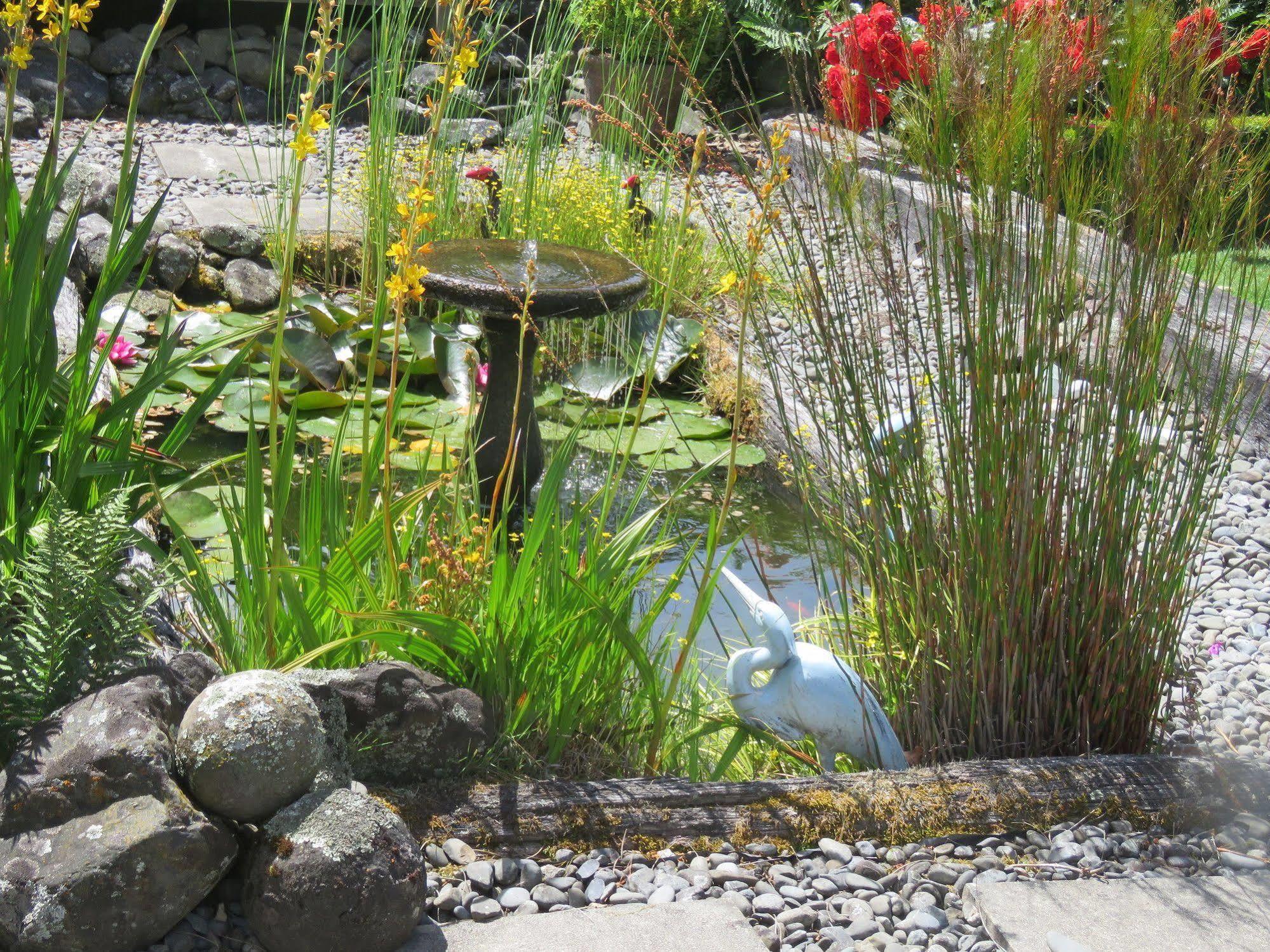 Marchmont Gardens Bed and Breakfast Hanmer Springs Exteriör bild